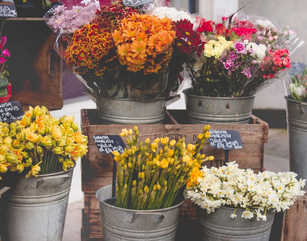 Blumenladen Schnittblumen