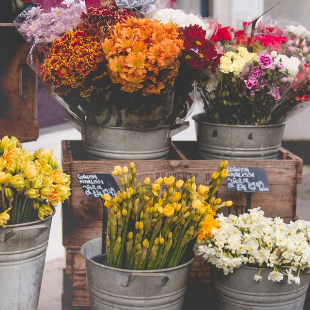 Blumenladen Schnittblumen